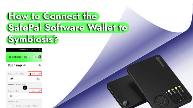 How to Connect the SafePal Software Wallet to Symbiosis